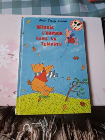 Winnie l'ourson dans la tempête
