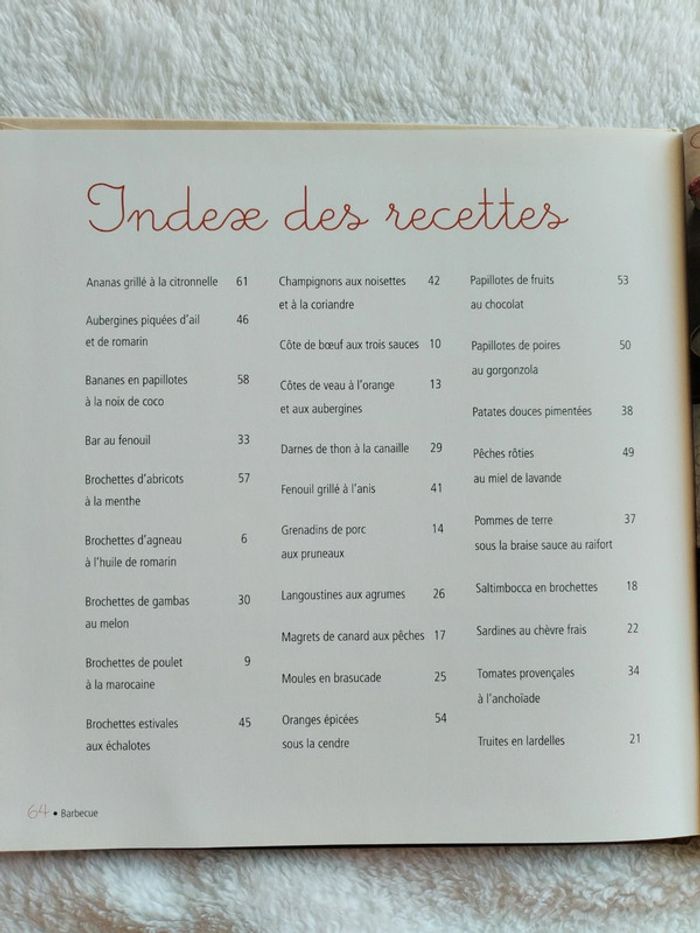 Lot livres recettes barbecue, apéritifs et pasta - photo numéro 5
