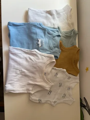 Lot bodies marcel