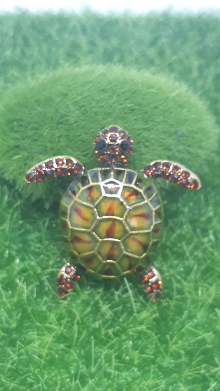 Très belle broche tortue 🐢🐢 - photo numéro 6