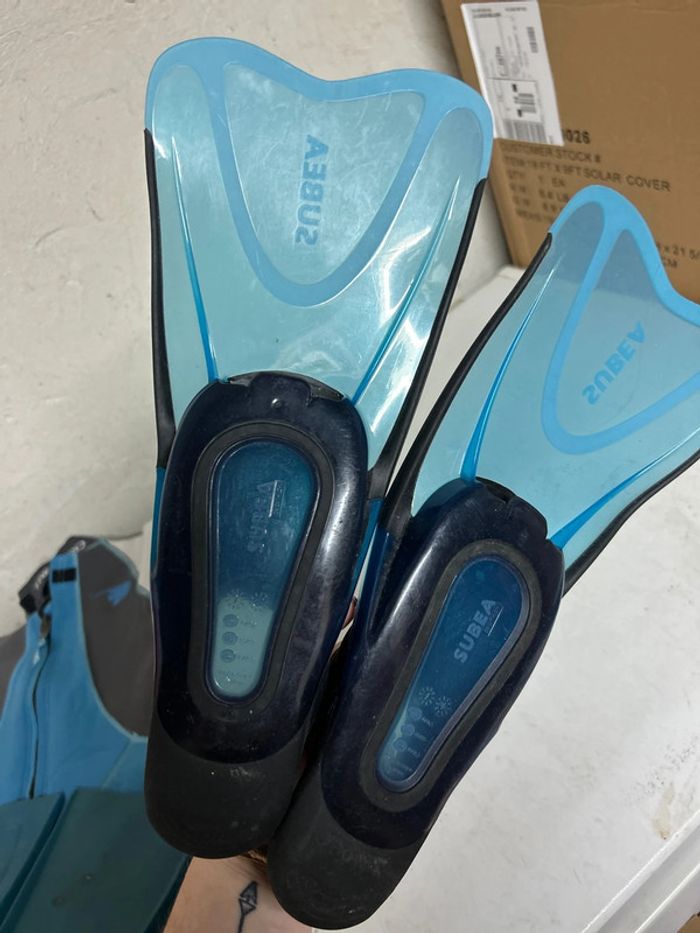 Palme - photo numéro 2