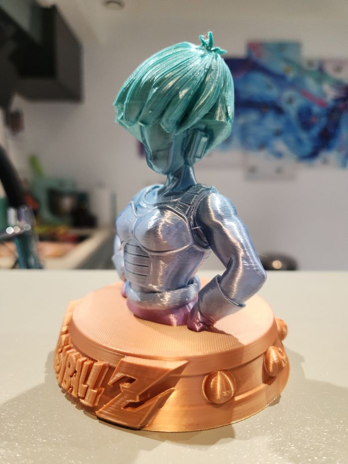 🔥 Figurine Dragon Ball Z – Selipa (Team Bardock) – Buste collector – Saiyan rare - photo numéro 2