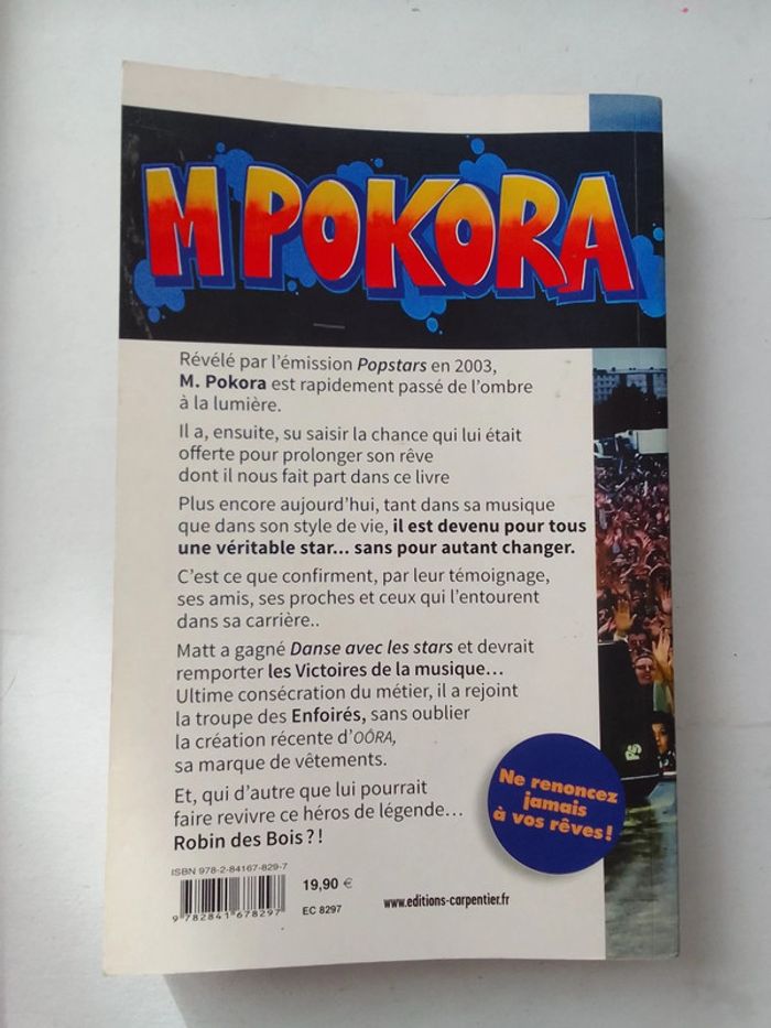 M. Pokora de Mathieu à Robin des Bois - photo numéro 2