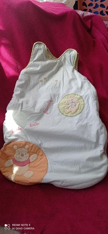 Turbulette Winnie l'ourson Disney