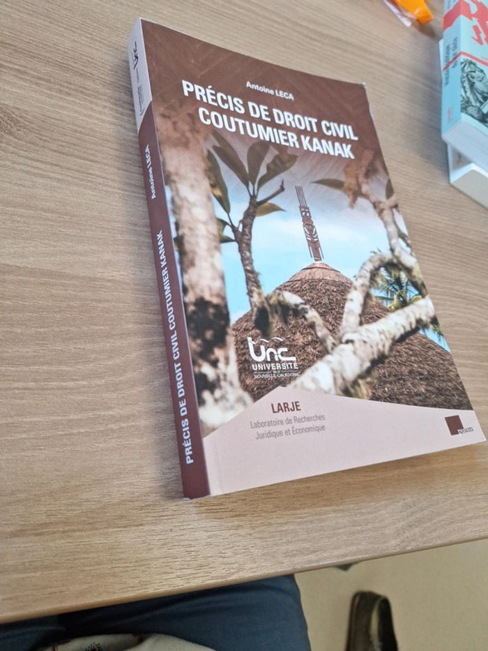 Précis de droit civil coutumier kank - photo numéro 2