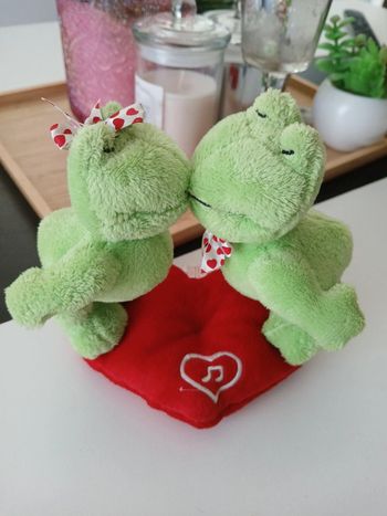 Péluche Grenouille d'amour🌿🎁