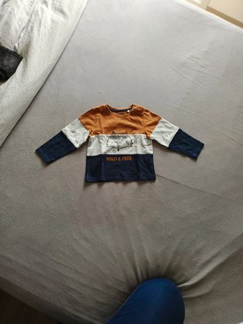 Polo renard