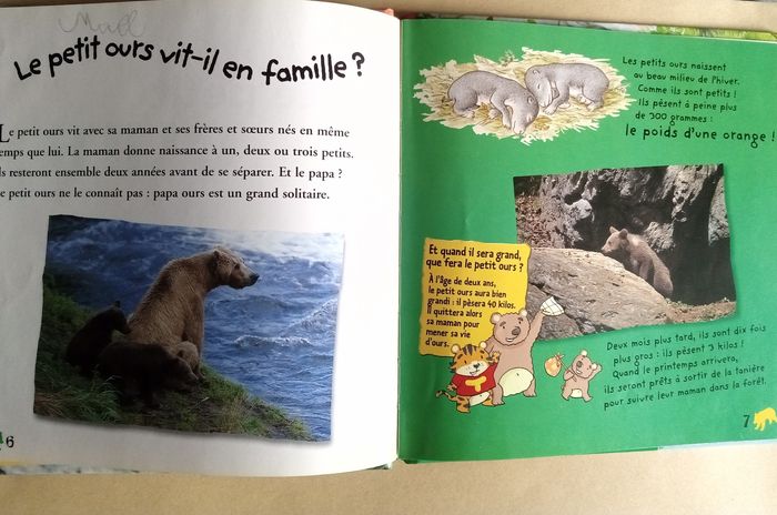 Livre " Le Petit Ours"/"perdu dans la forêt" - photo numéro 2