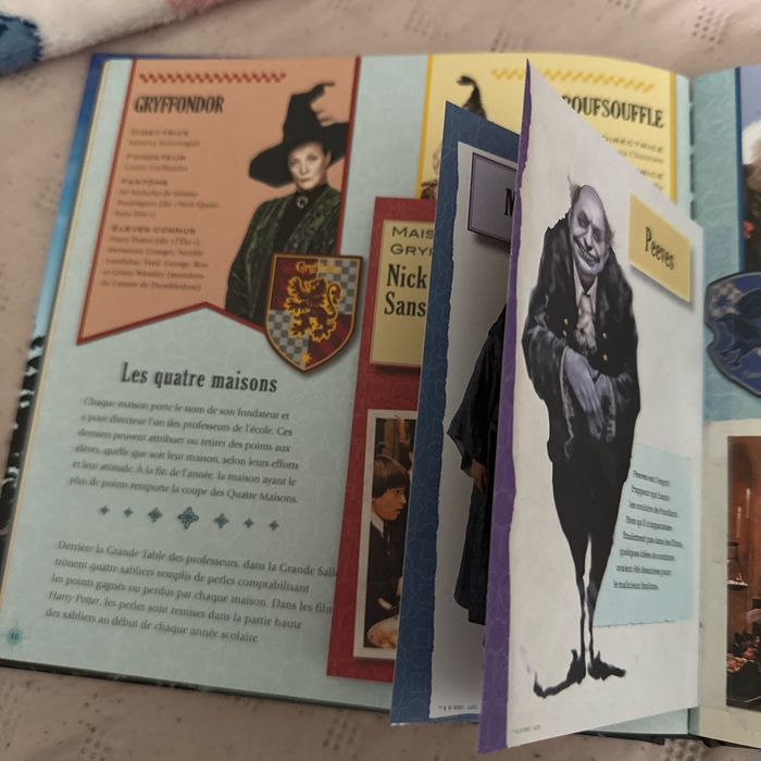 Harry porter poulard le carnet magique - photo numéro 2