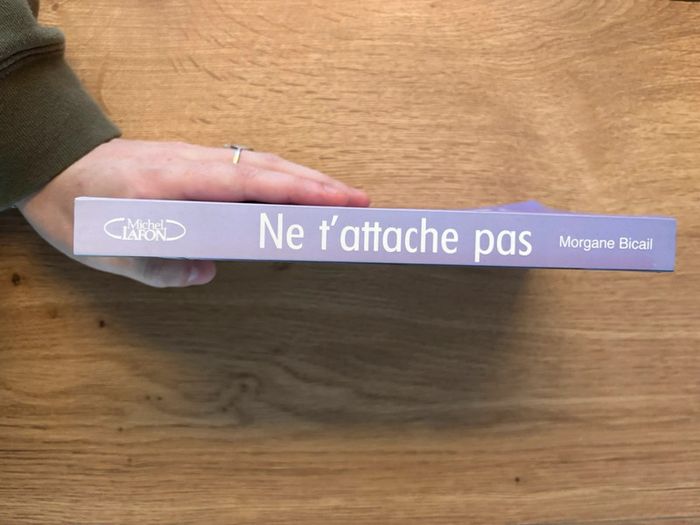 Ne t’attache pas Morgane Bicail - photo numéro 3