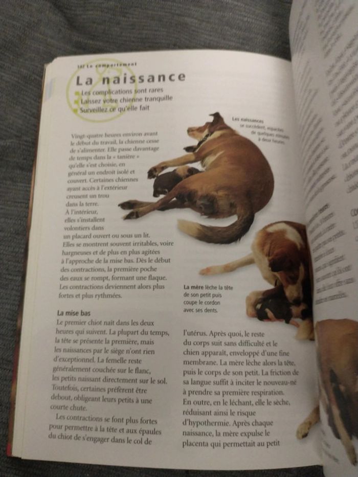 Le guide de référence du chien par docteur Bruce folge - photo numéro 6