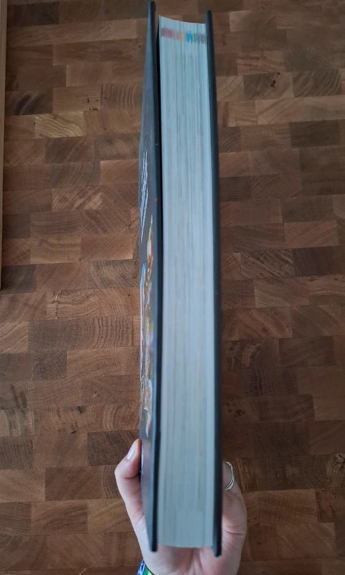 La bible du barbecue Weber 🩷 - photo numéro 4