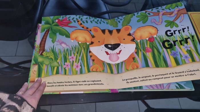 Livres pop-up et yeux animés - photo numéro 4