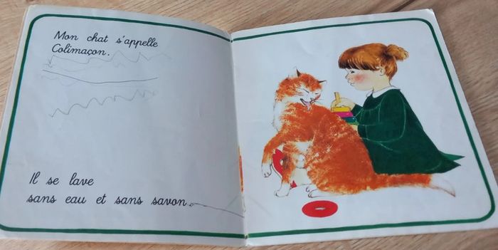 Livre Mon Chat - photo numéro 3