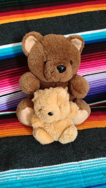 Lot de 2 peluches maman ours et son ourson