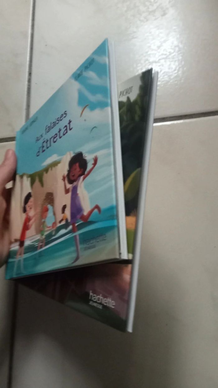 Lot de deux livres d'histoire - photo numéro 3