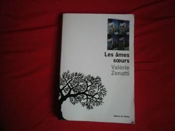 LES AMES SOEURS