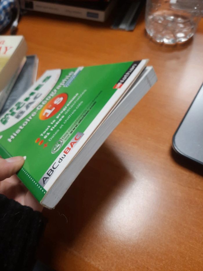 Fiche bac1er s histoire géographie - photo numéro 3