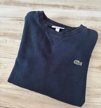 pull lacoste