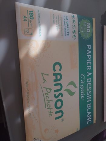 1 pochette de 11 feuilles blanches A4 Canson