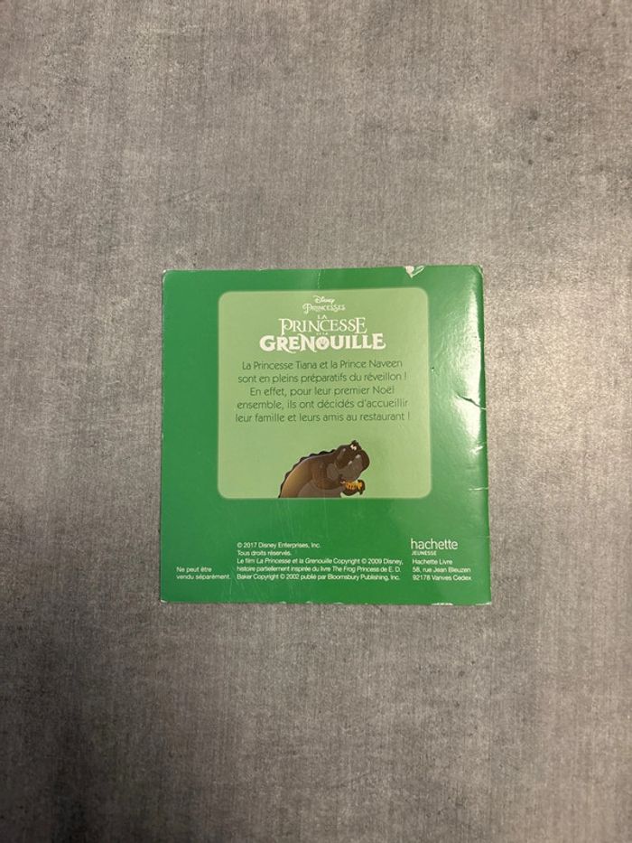 Livre Disney, la princesse et la grenouille, les fêtes dans le bayou - photo numéro 2