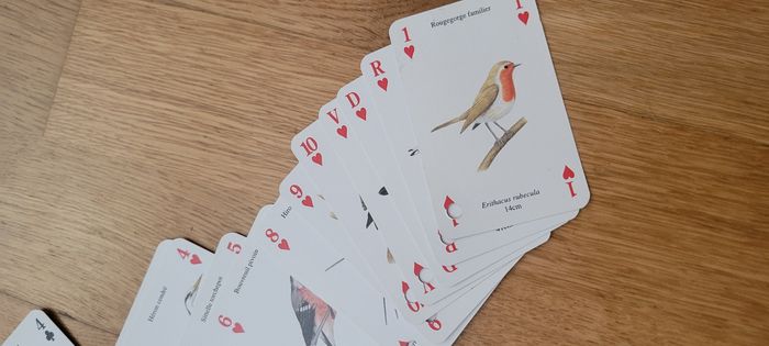 Jeu de 52 cartes oiseaux - photo numéro 3