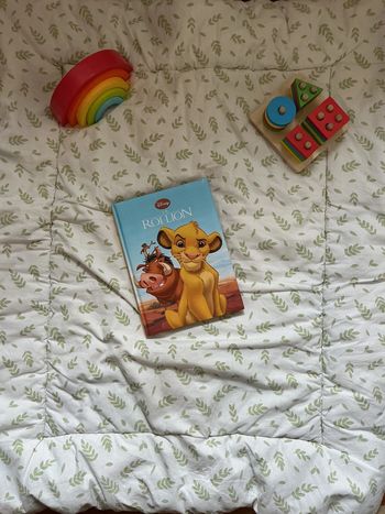 livre Disney Le Roi lion collection France loisirs