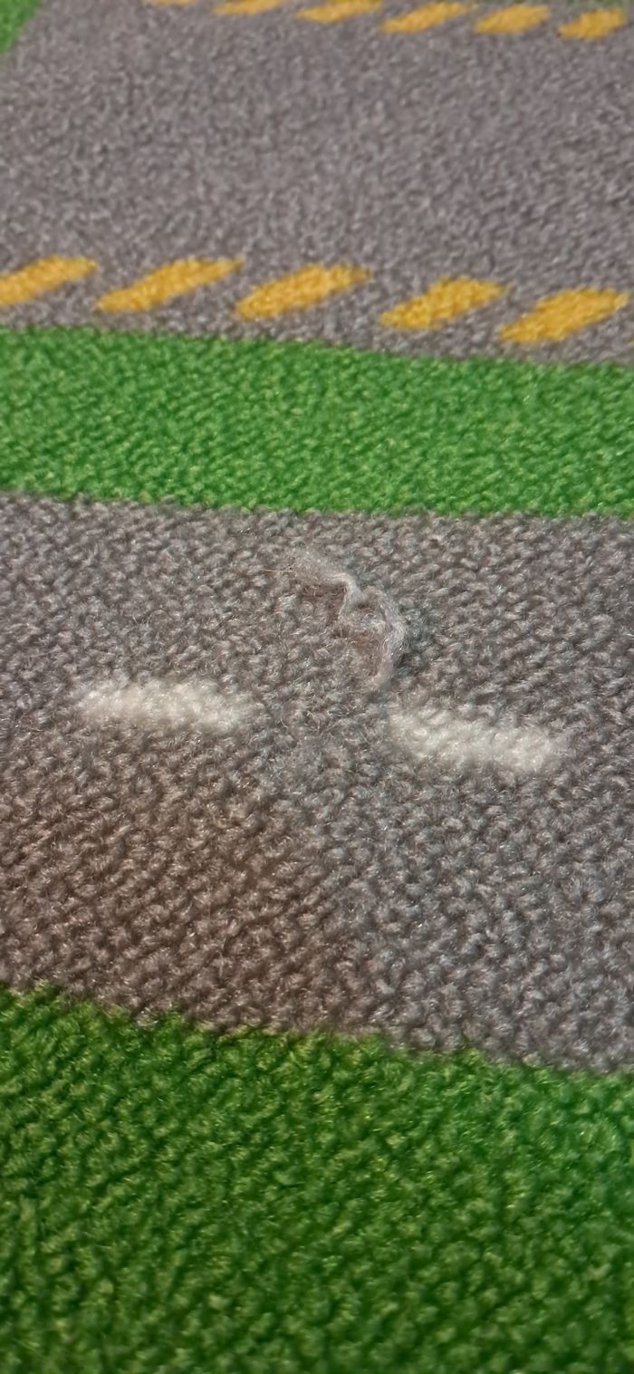 Tapis de voiture - photo numéro 5