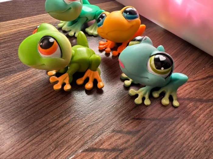 Petshop grenouilles - photo numéro 4
