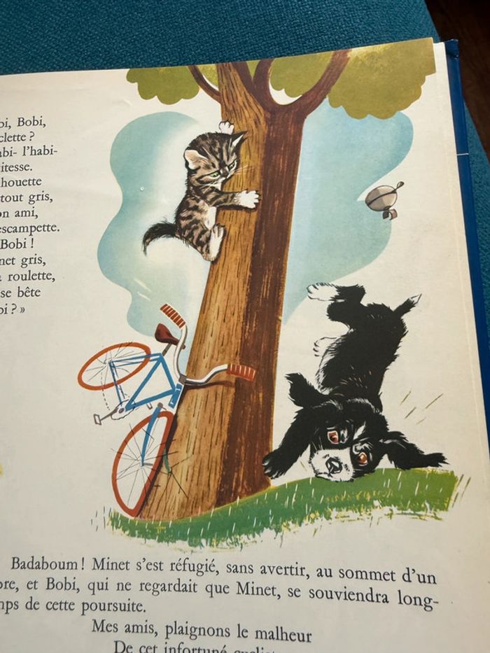 96 pages Grand livre ancien collection Hachette Les trésors de Pierre Probst auteur de Caroline - photo numéro 8