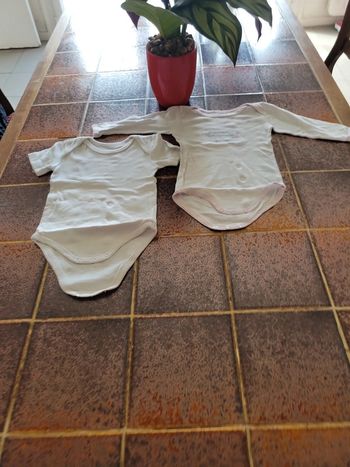 Lot de 2 bodies manches longues et courtes