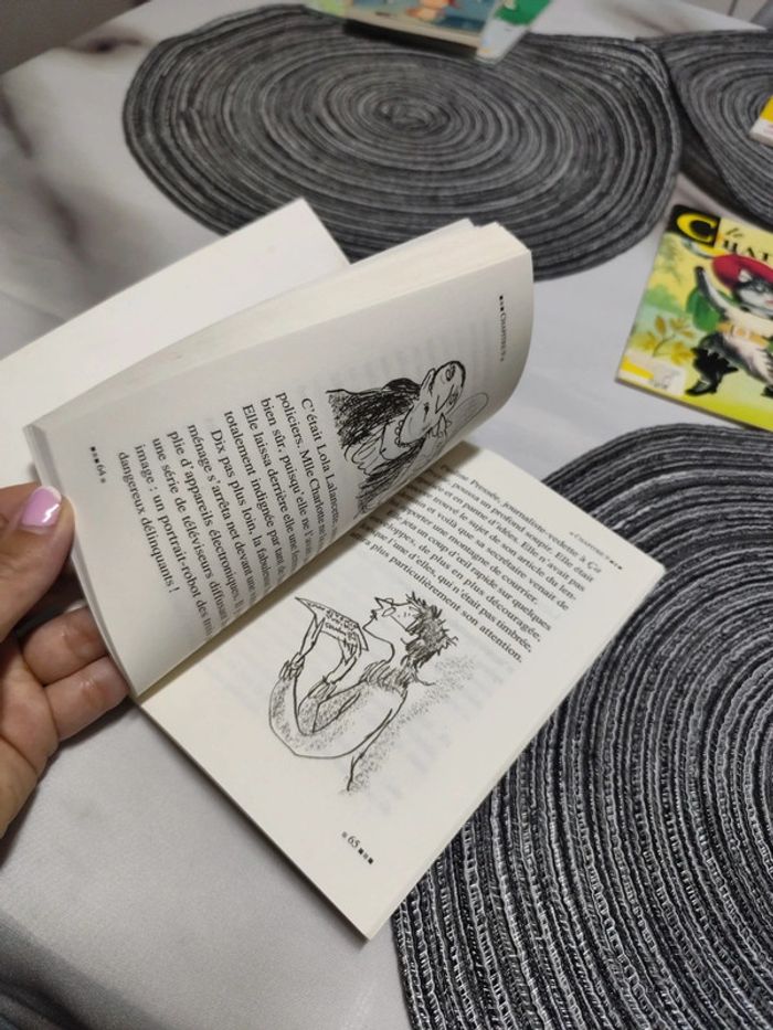Mlle Charlotte une fabuleuse femme de ménage livre - photo numéro 5