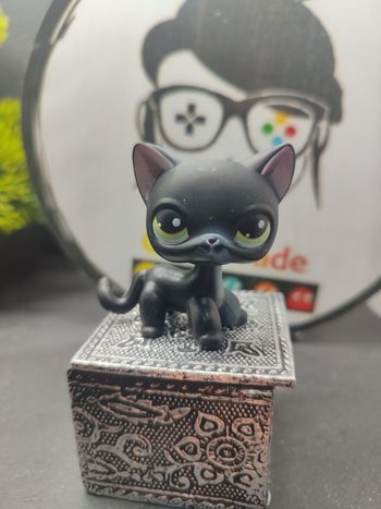 Los01132 My Littlest Petshop Pet Shop LPS Authentic  cat Shorthair European 336