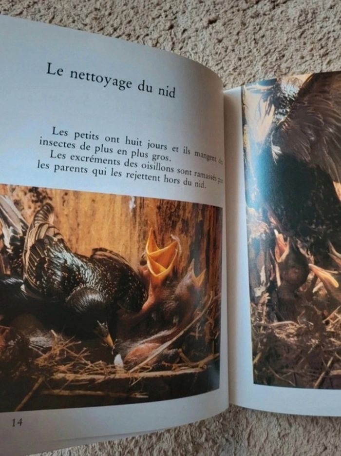 Livre documentaire Vintage La ferme de Sylvain Le nid des étourneaux - photo numéro 4
