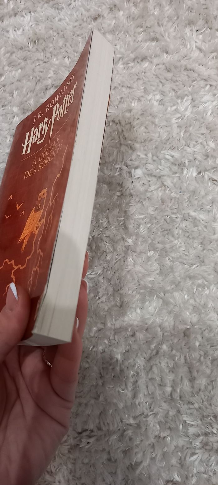Harry potter à l'école des sorciers tome 1, j.k rowling - photo numéro 4