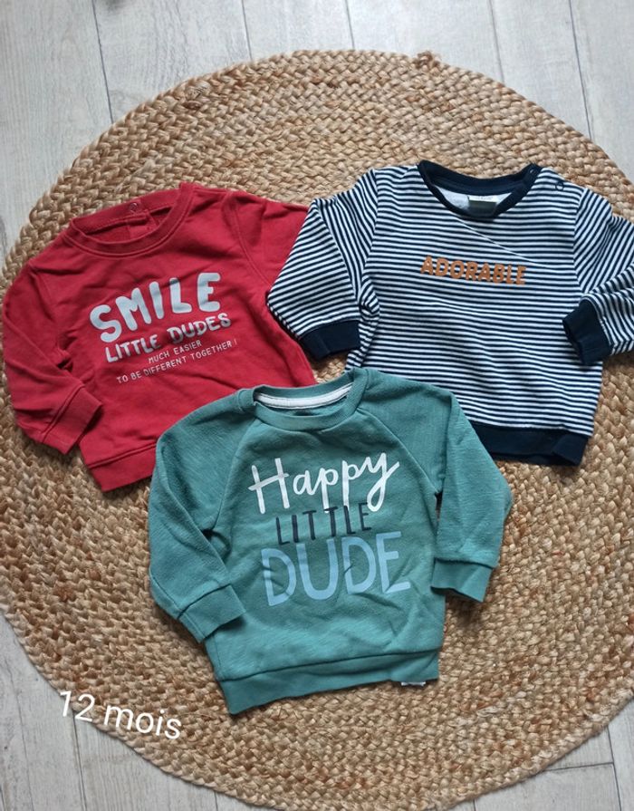 Lot pull multi marque 12 mois