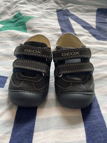 Chaussure geox