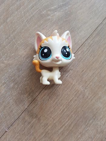 Chat Little Pet Shop