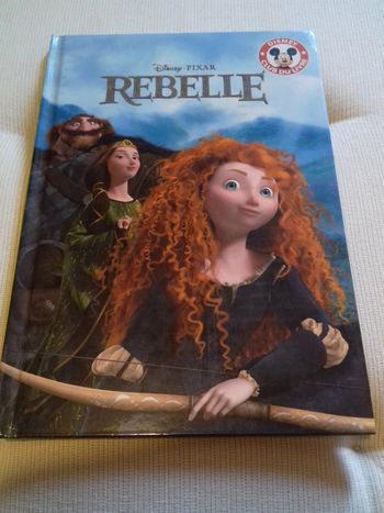 Livre disney pixar rebelle