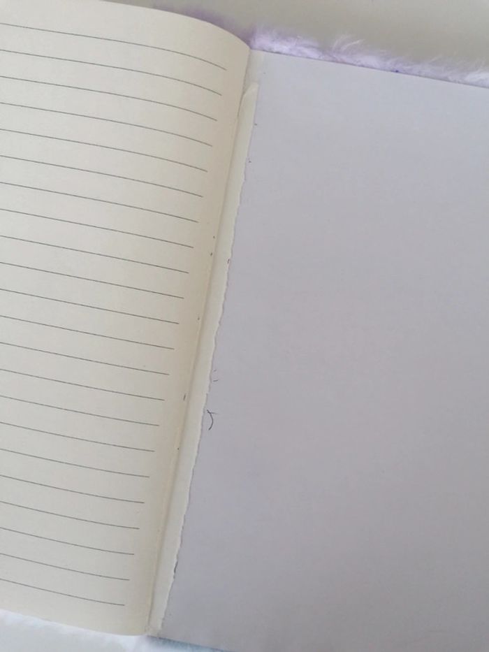 Carnet intime licorne 🦄 - photo numéro 16