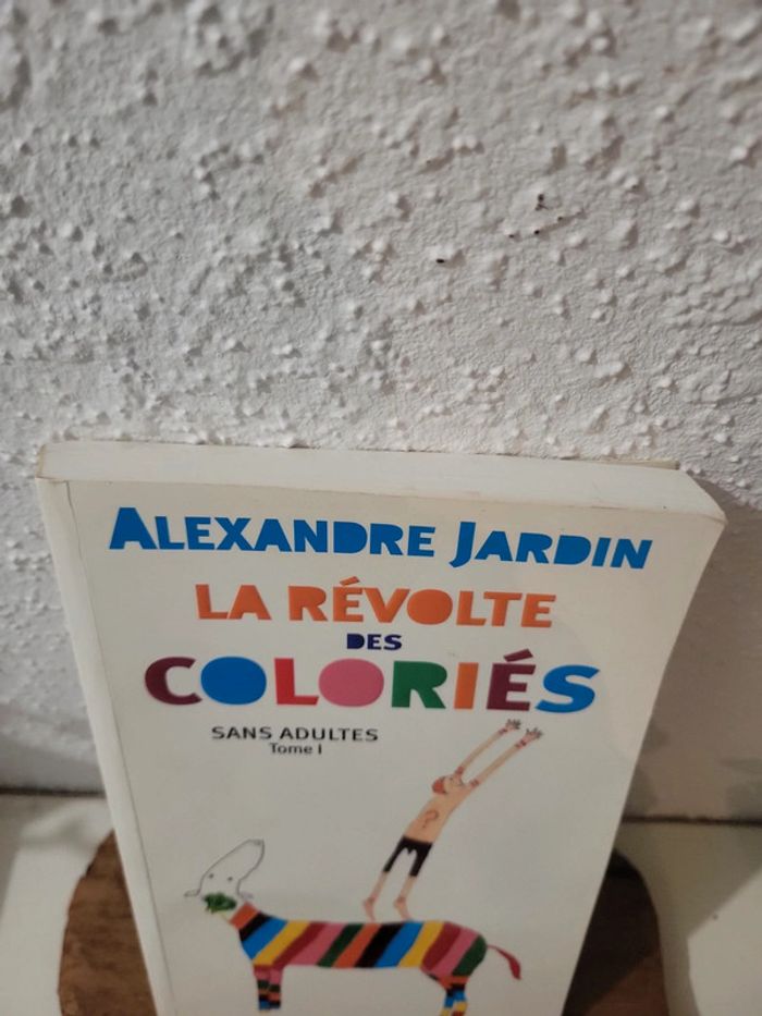 Livre roman "La revolte des coloriés" de Alexandre Jardin - photo numéro 2