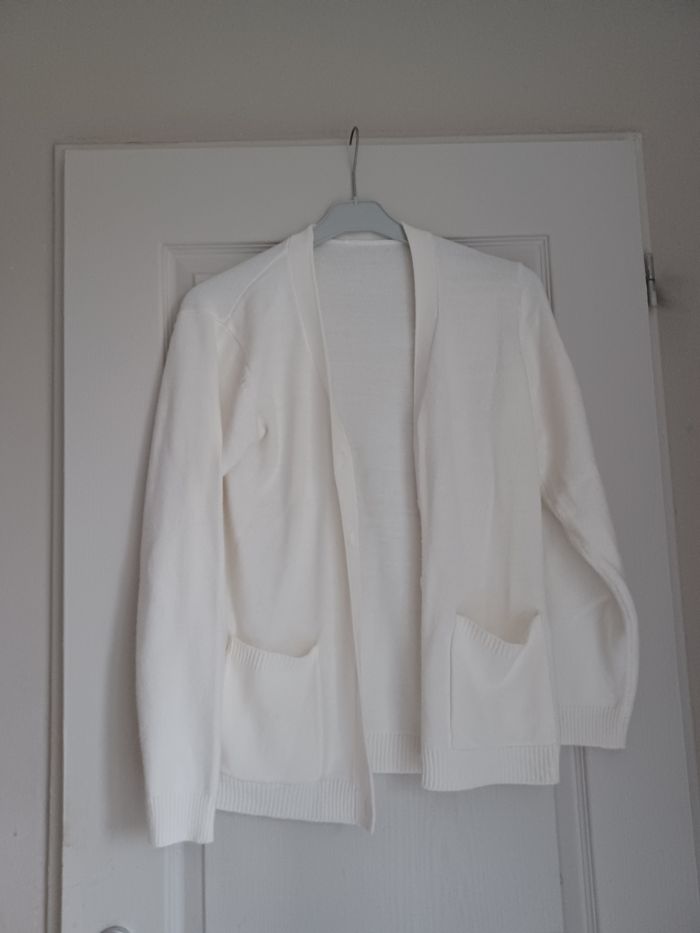 Gilet, cardigan