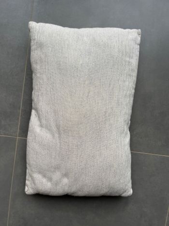Coussin décoratif