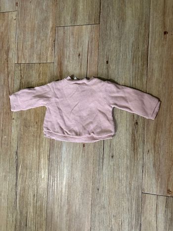 Gilet rose orchestra  54 cm