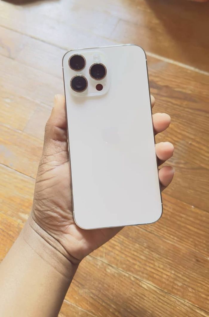 Un iPhone Seize - photo numéro 3