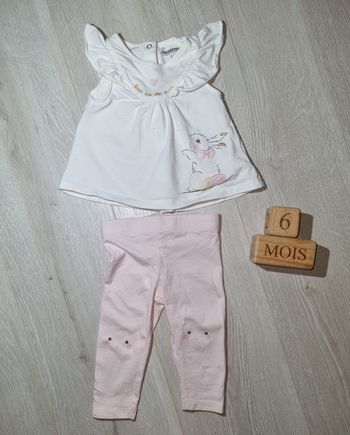 Ensemble orchestra lapin