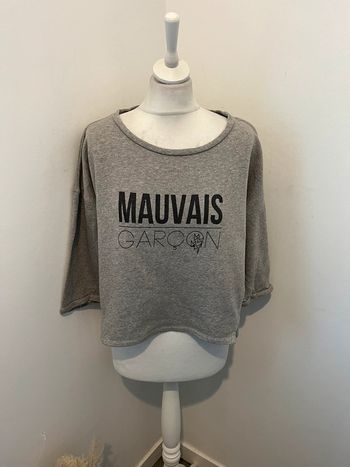 Sweat gris Claudie Pierlot S