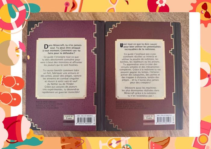 Lot deux livres minecraft - photo numéro 5