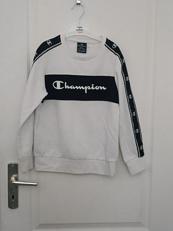 Pull champion