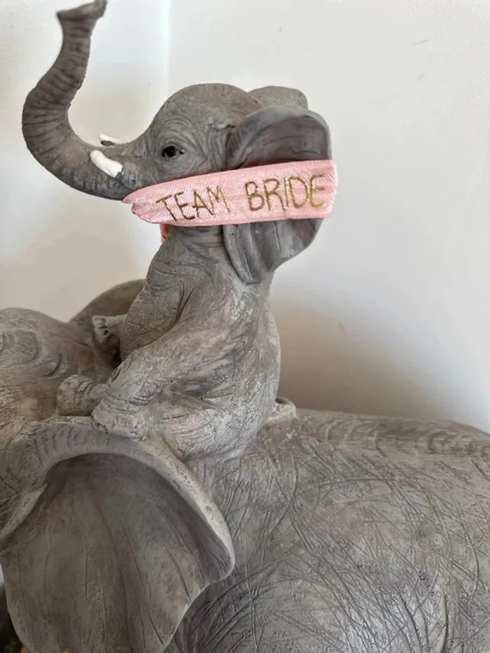 Lot 11 bracelets team bride - photo numéro 2